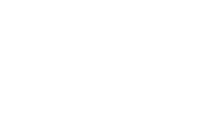 nomadik white transparent